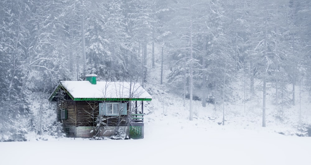 Maison en bois vert sur un sol enneigé