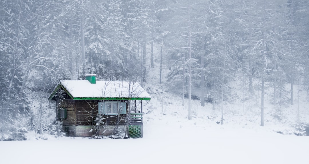 green wooden house on snow covered ground