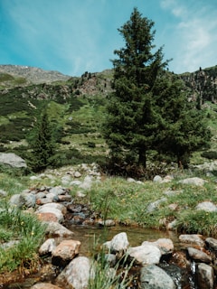 A tranquil landscape of North Carolina showcasing the source of indigowtr.