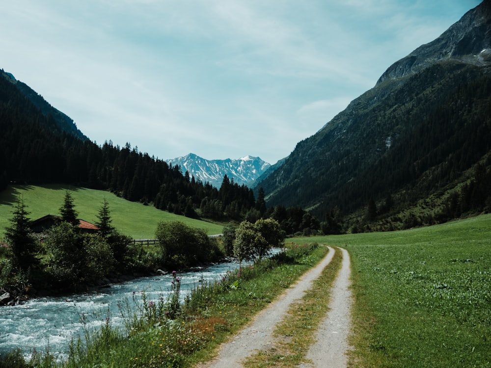 Champ d’herbe verte près des arbres verts et des montagnes pendant la journée