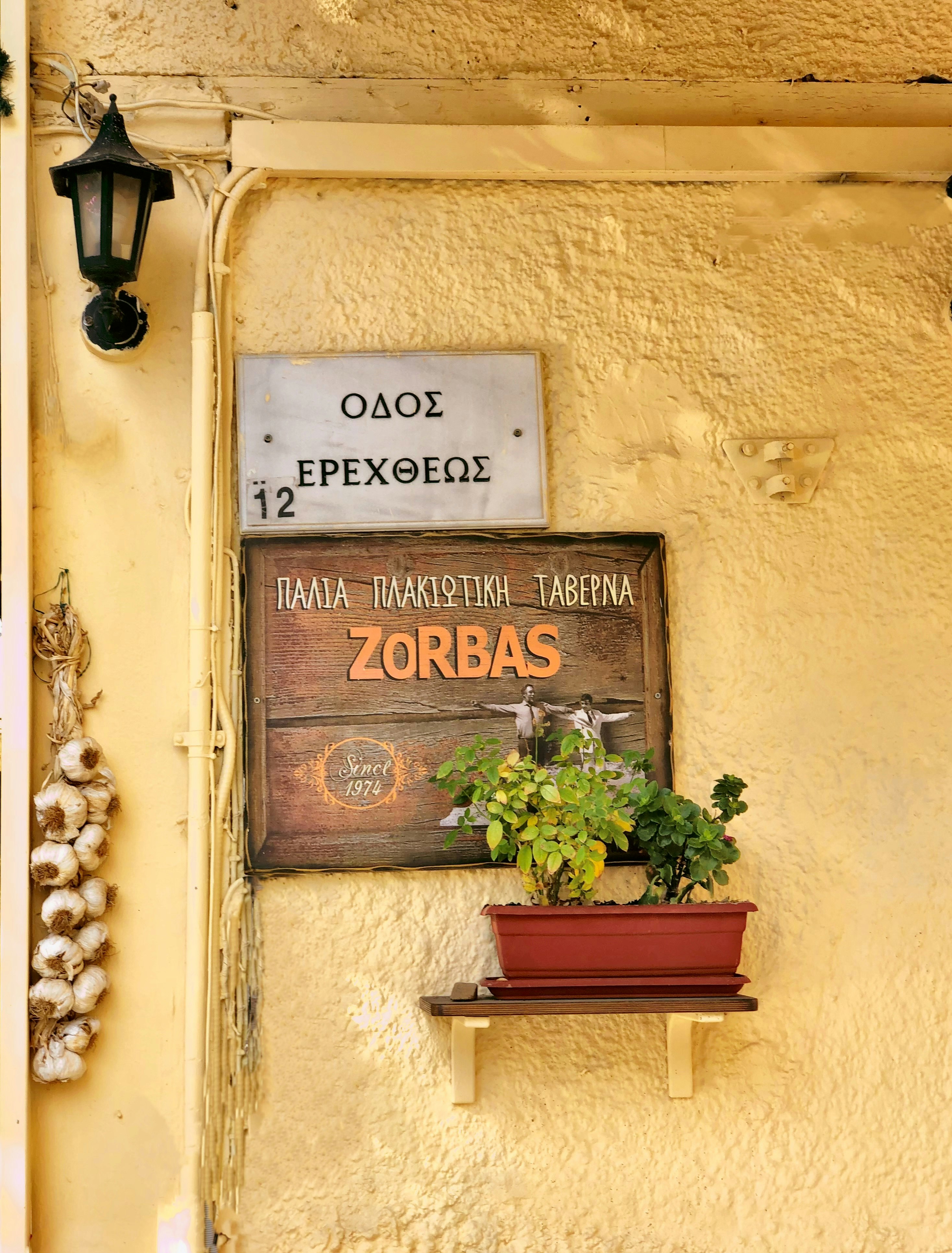 Zorba the Greek | Humans