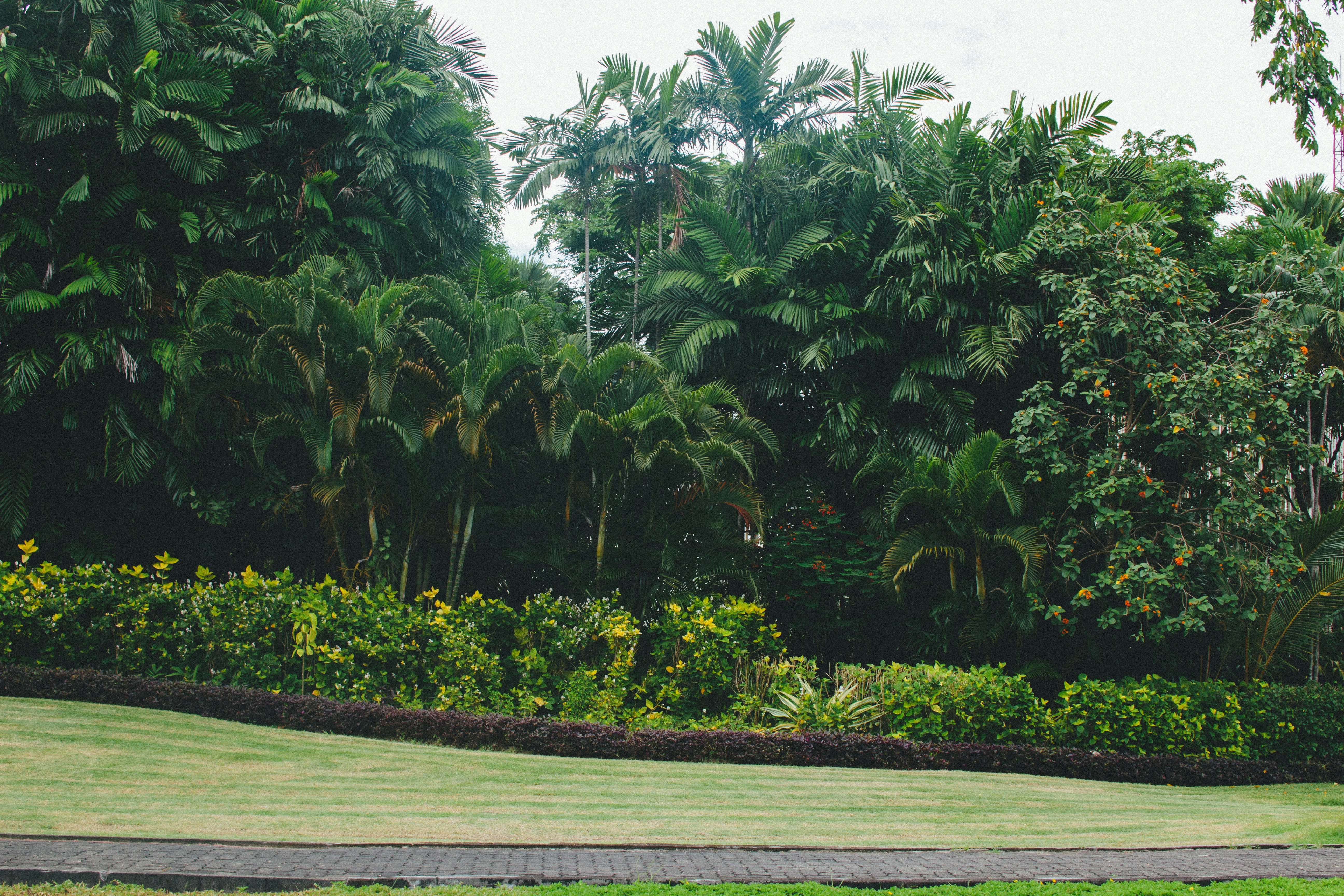 Photo by darya_jumelya