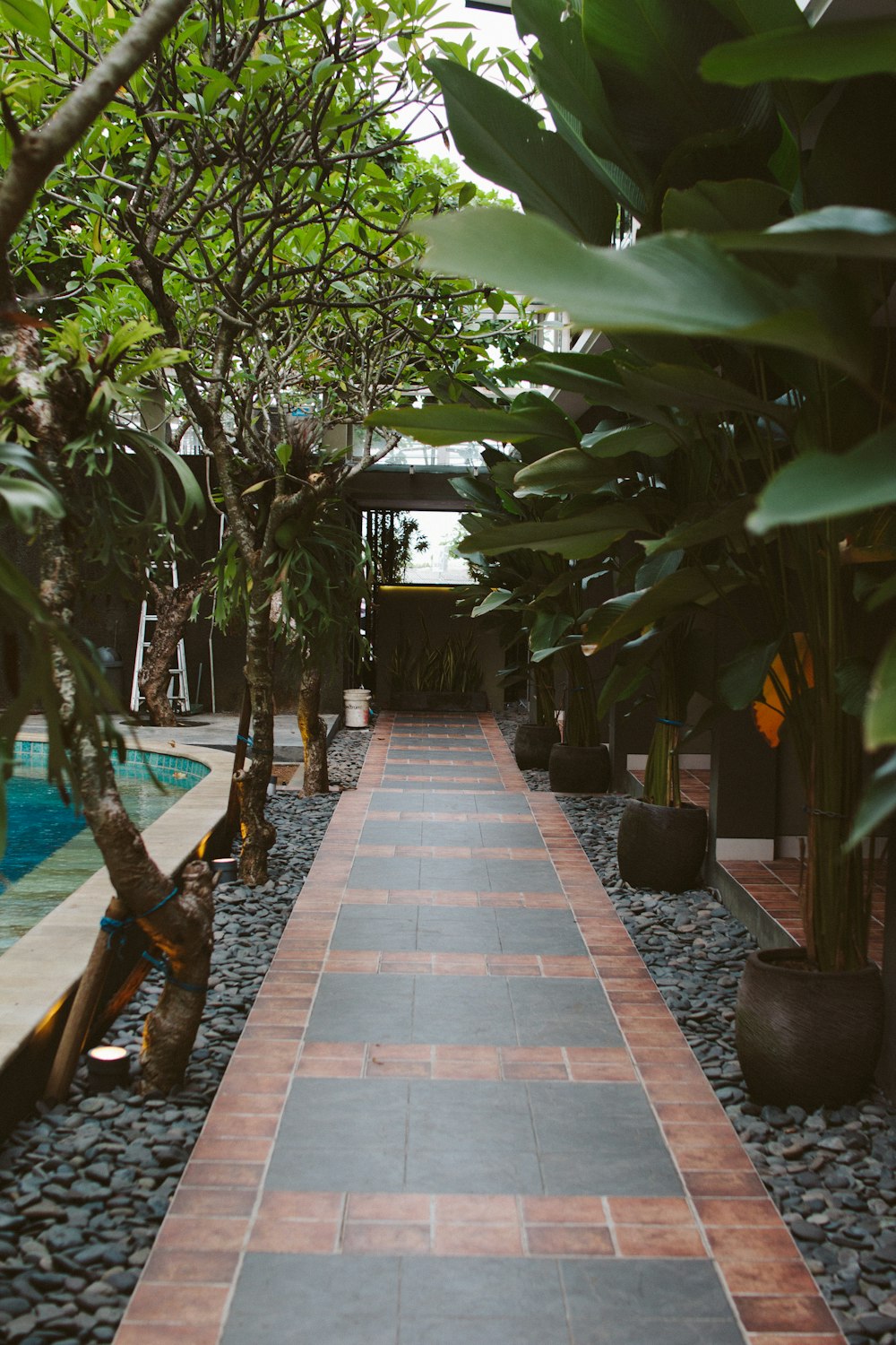 brown brick pathway near swimming pool