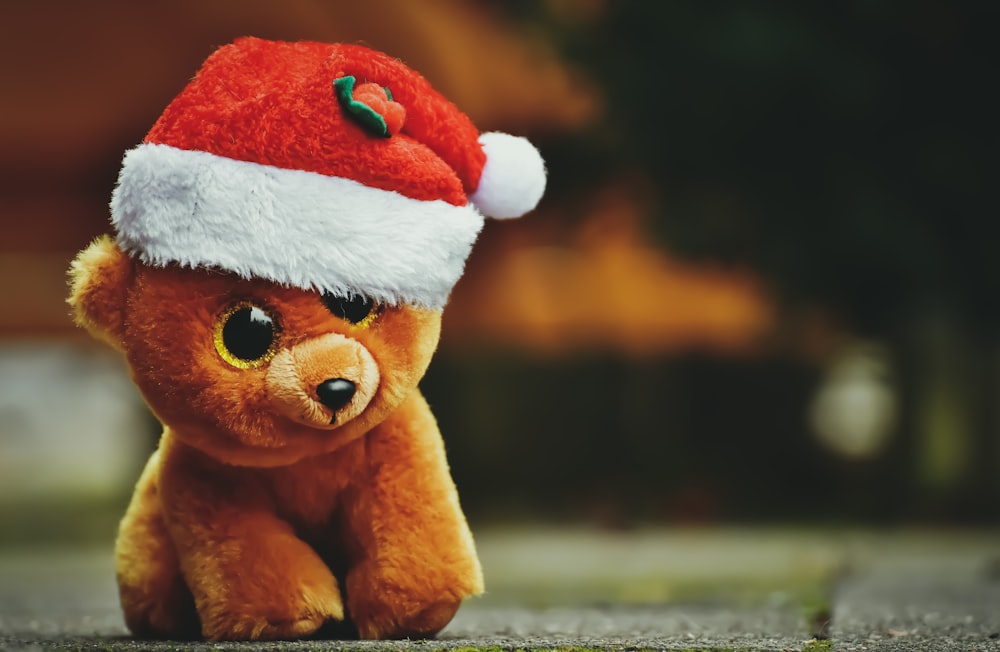 brown bear wearing santa hat plush toy