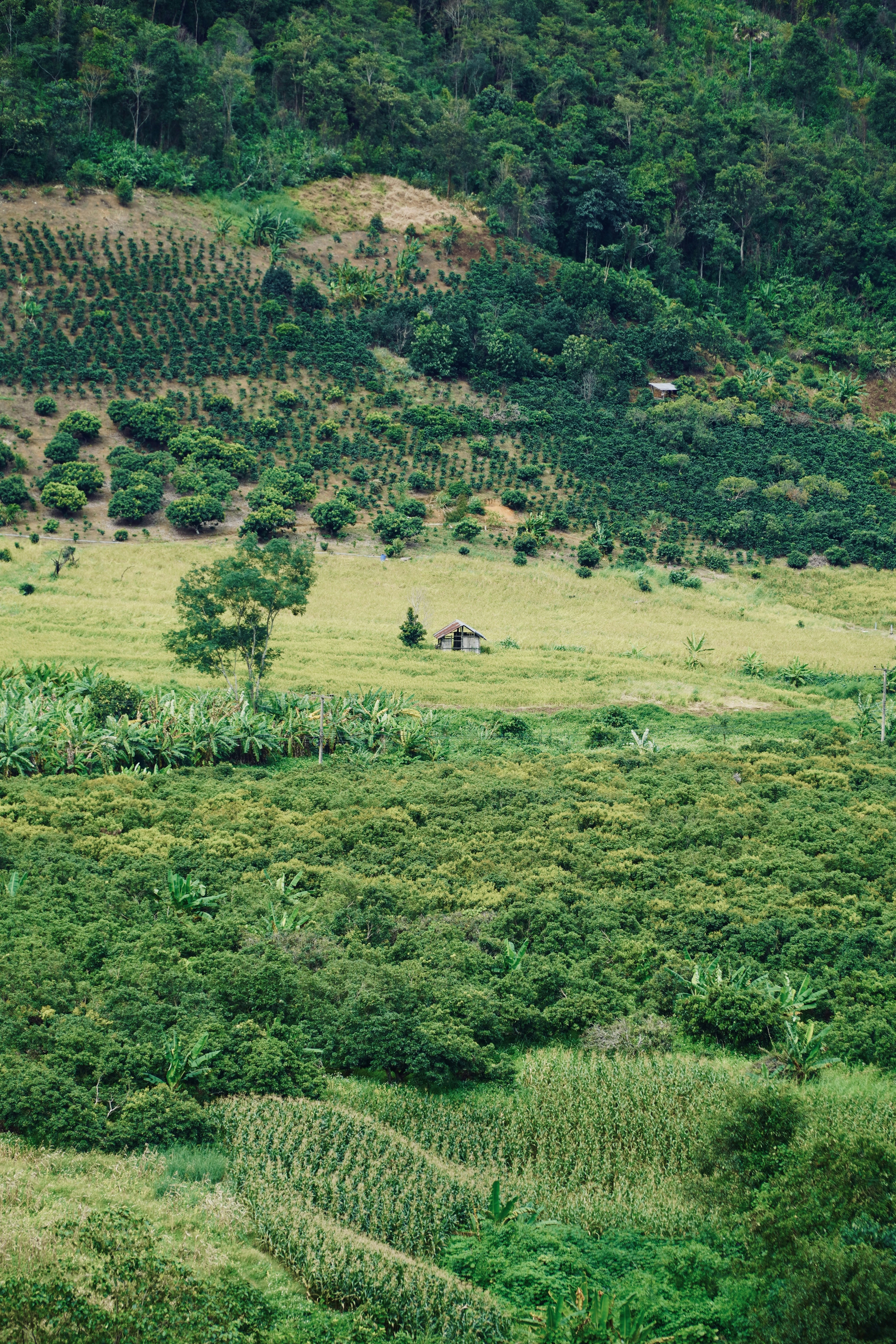 Photo by ptphotography