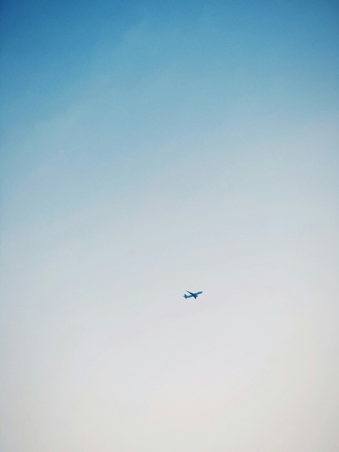 black bird flying under blue sky during daytime