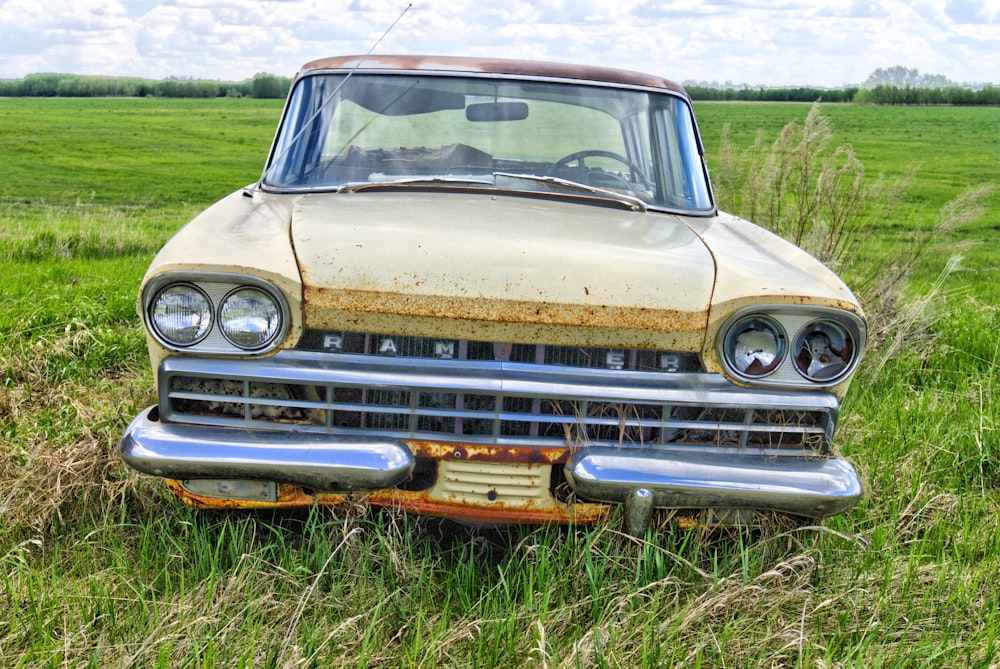 brown car on green grass field during daytime