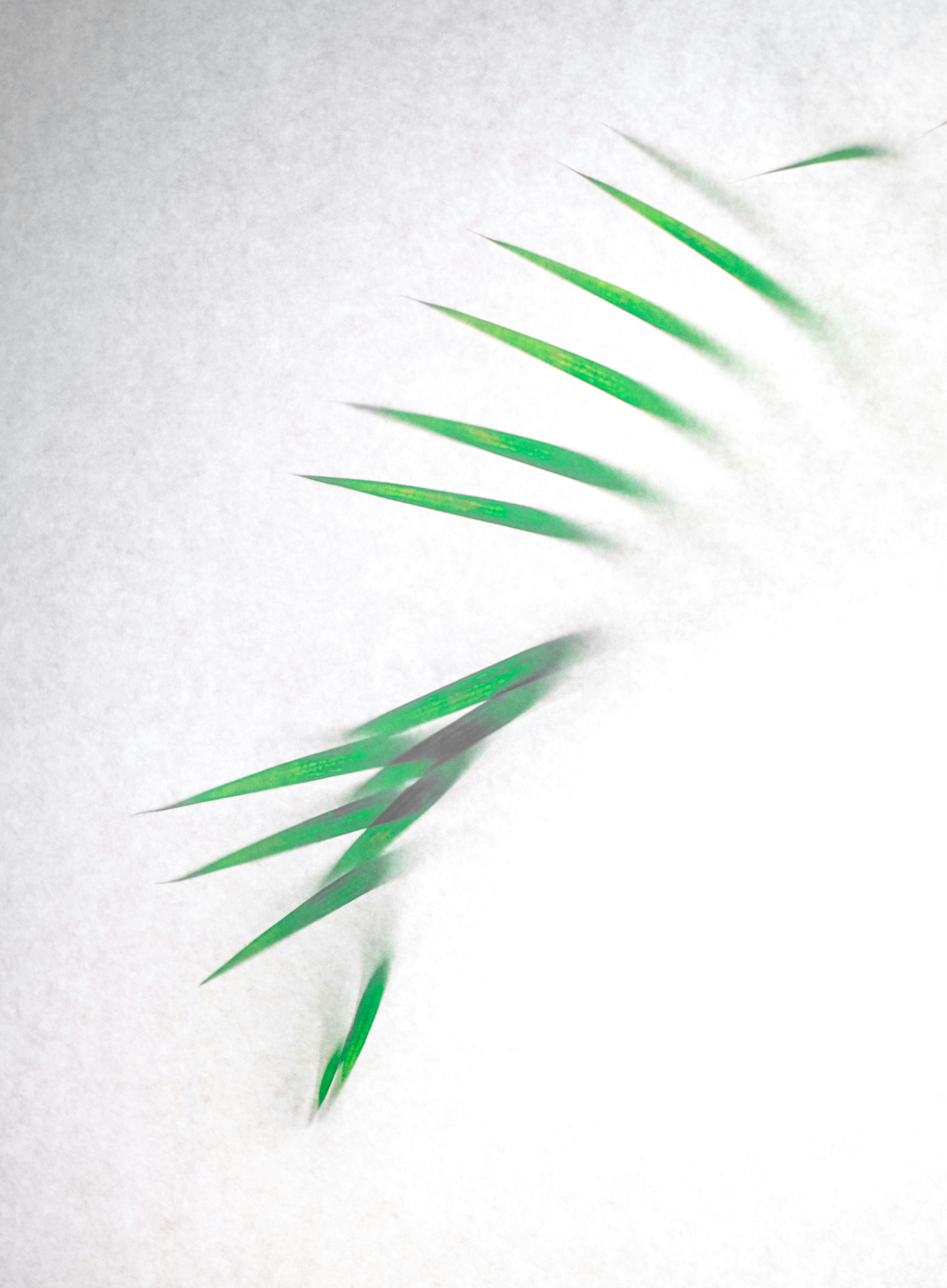 Photo by prateekkatyal