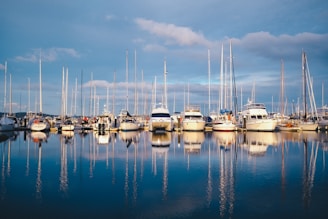 white and blue boat on sea under gray sky