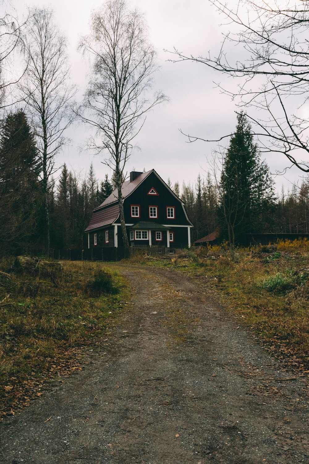 brown wooden house near bare trees under gray sky