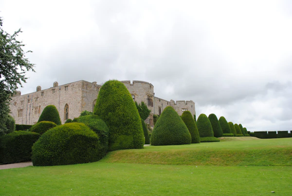 topiary