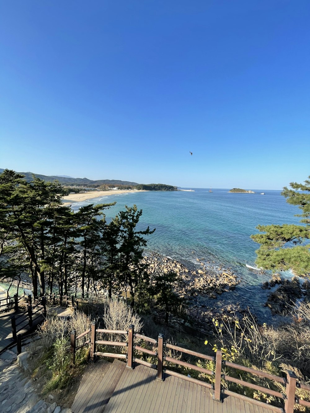 green trees near blue sea under blue sky during daytime