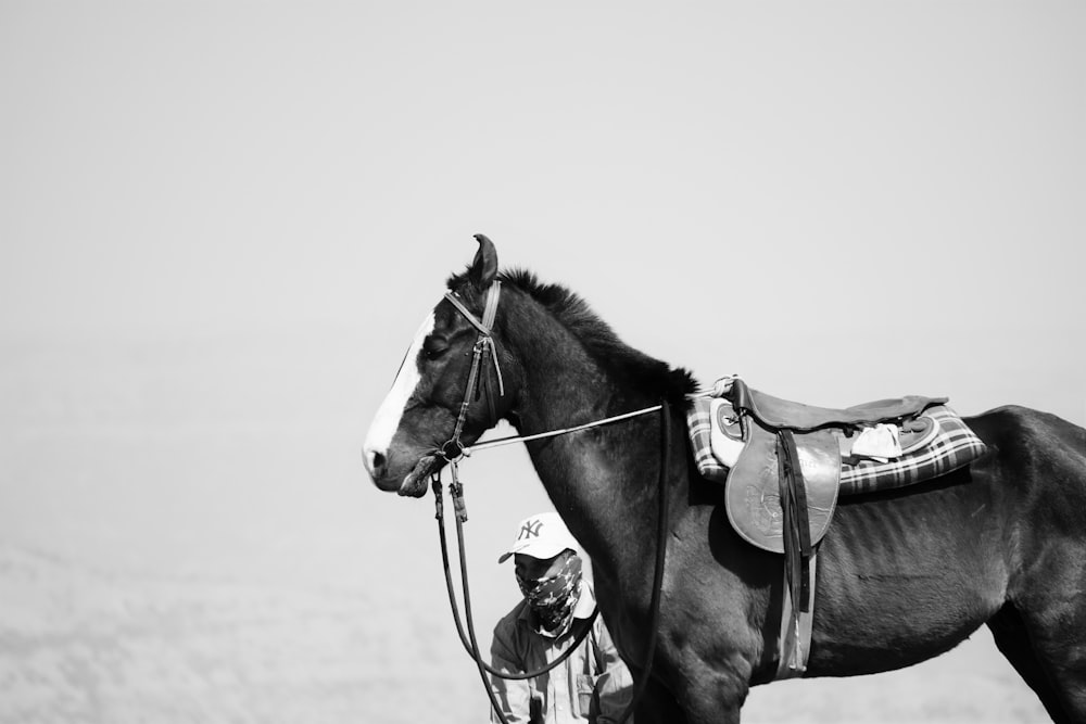 들판에서 달리는 말의 그레이스케일 사진