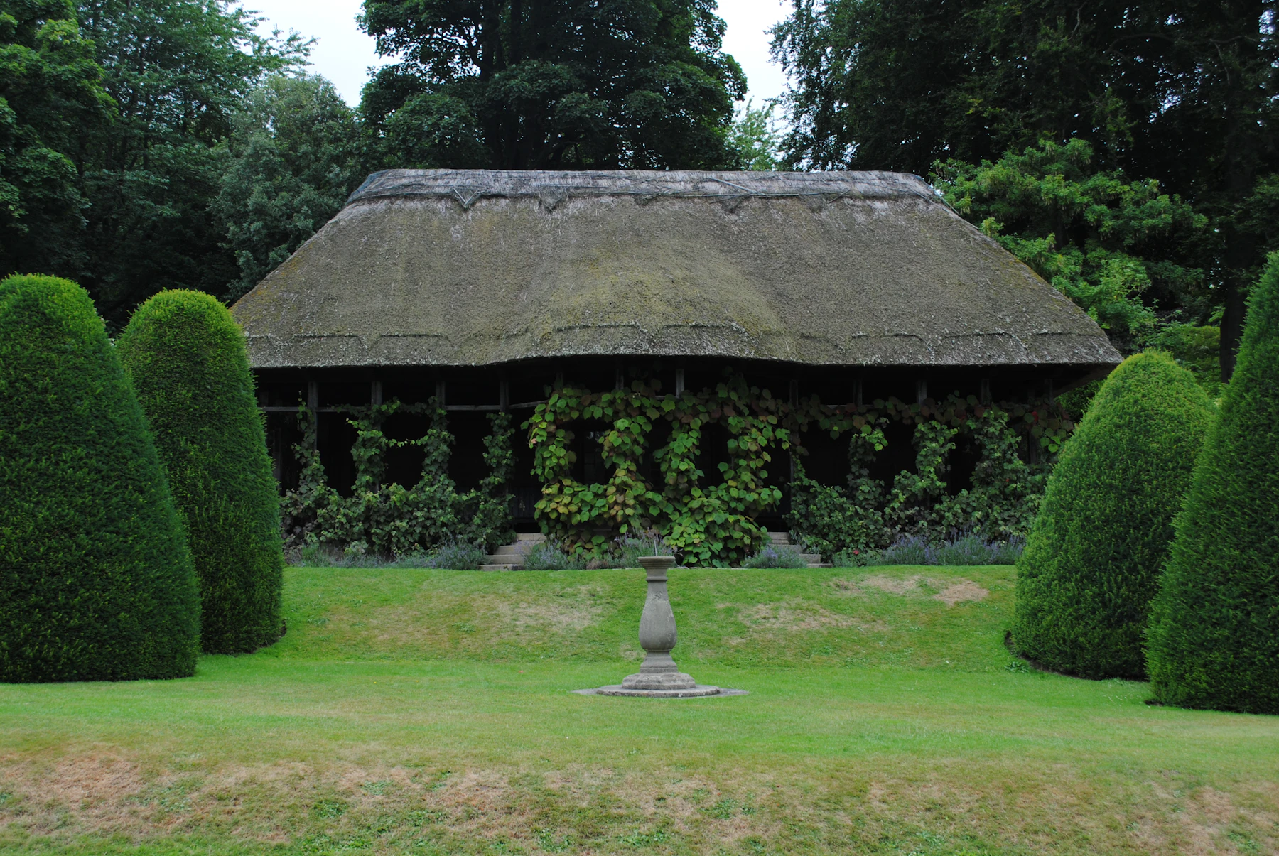 Tall clipped yew cones on a lawn either side of a thatched summerhouse
