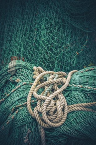 brown rope on green net