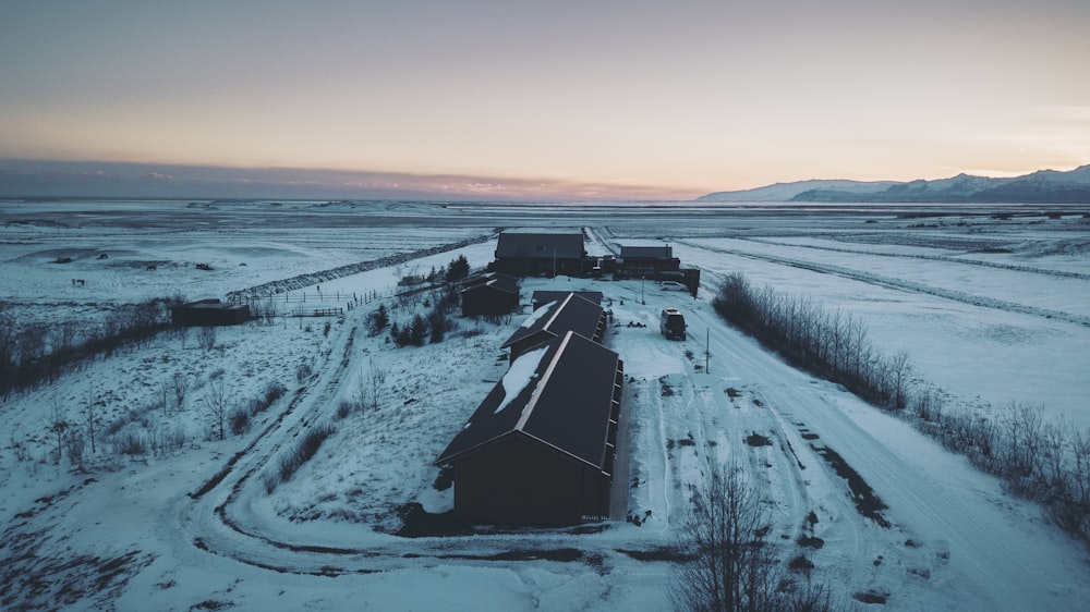 Schneebedecktes Feld tagsüber