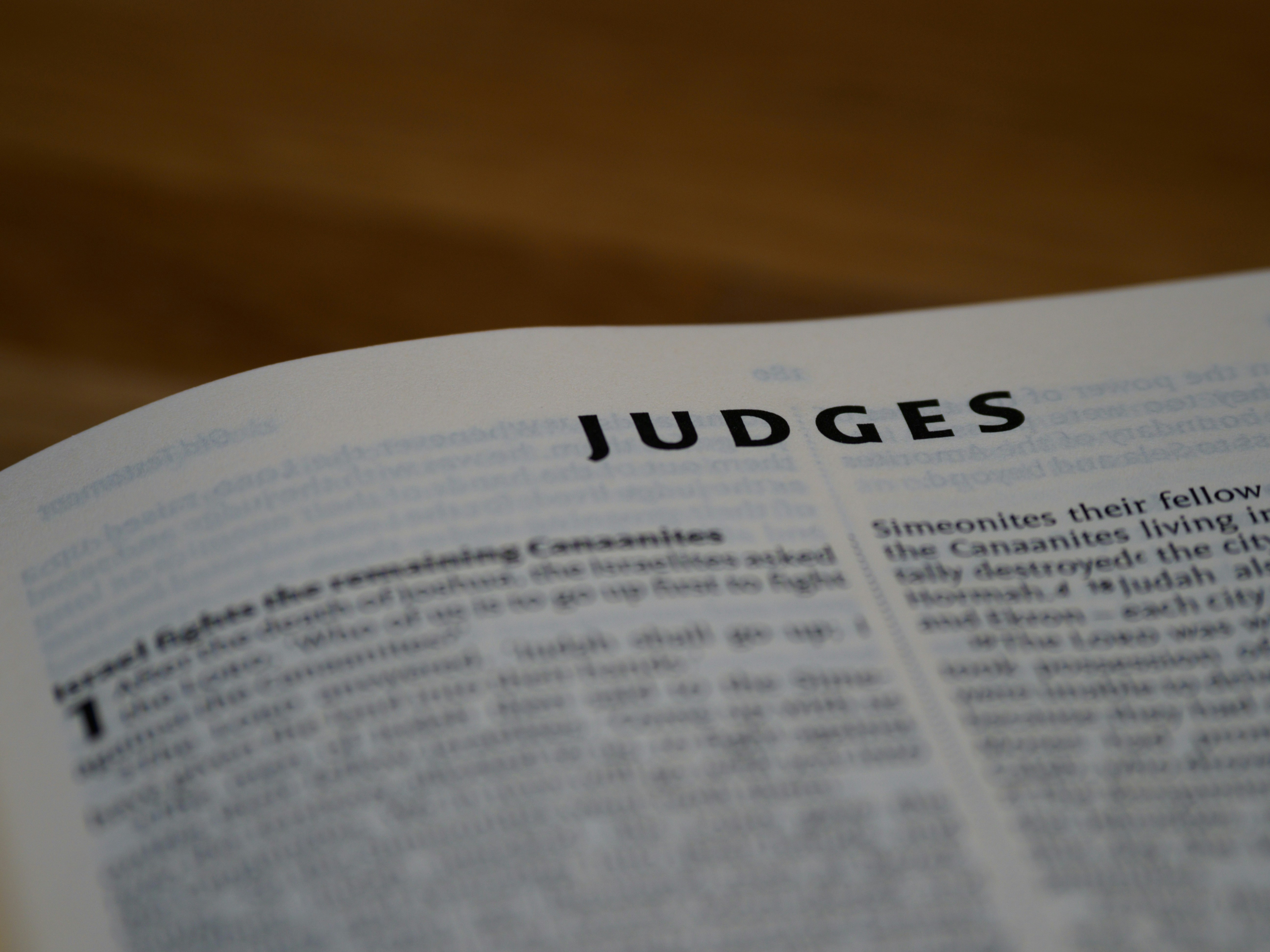 close up, bokeh, macro, blur, blurred background, close focus, bible, old testament, judges, christian, judaism, history, text, deuteronomist history, twelve tribes, reading, bible study, torah, devotions, text, NIV, New International Version, type, typography, canon, christianity, holy scripture, holy bible, scripture, book of judges, hebrews, ספר שופטים, sefer shoftim, shophet, 
