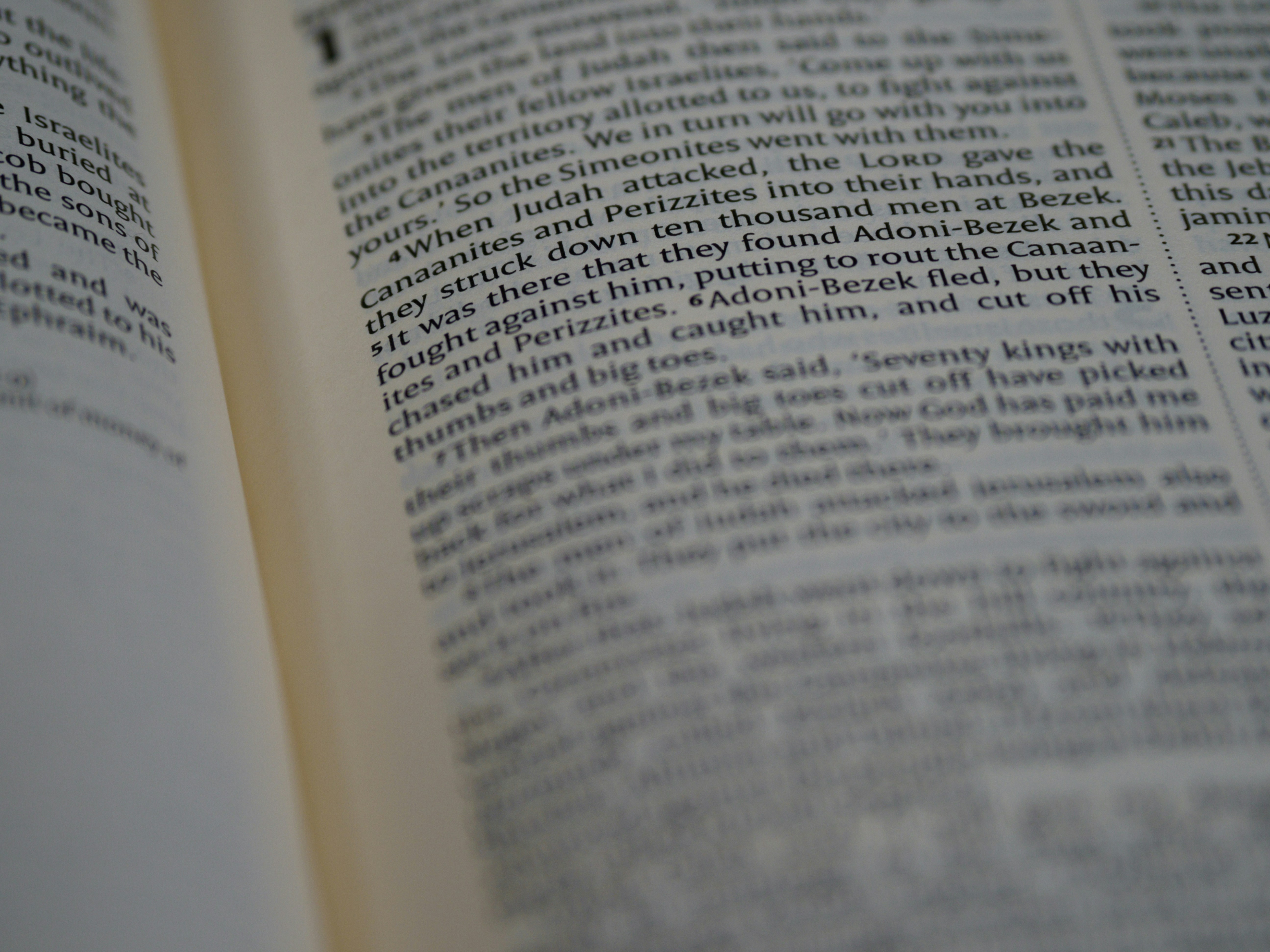 Photo by brett_jordan