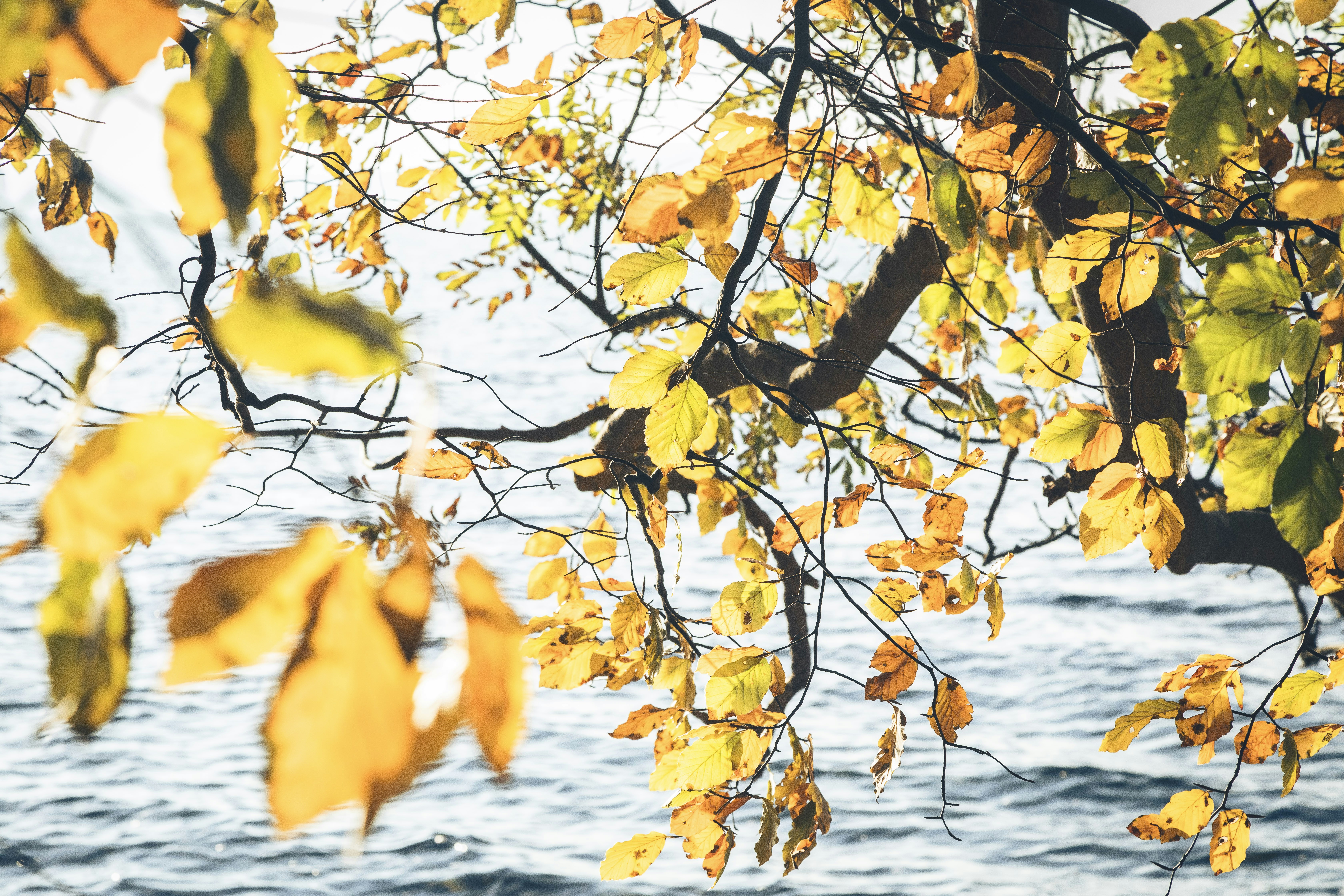 Photo by michaelheld