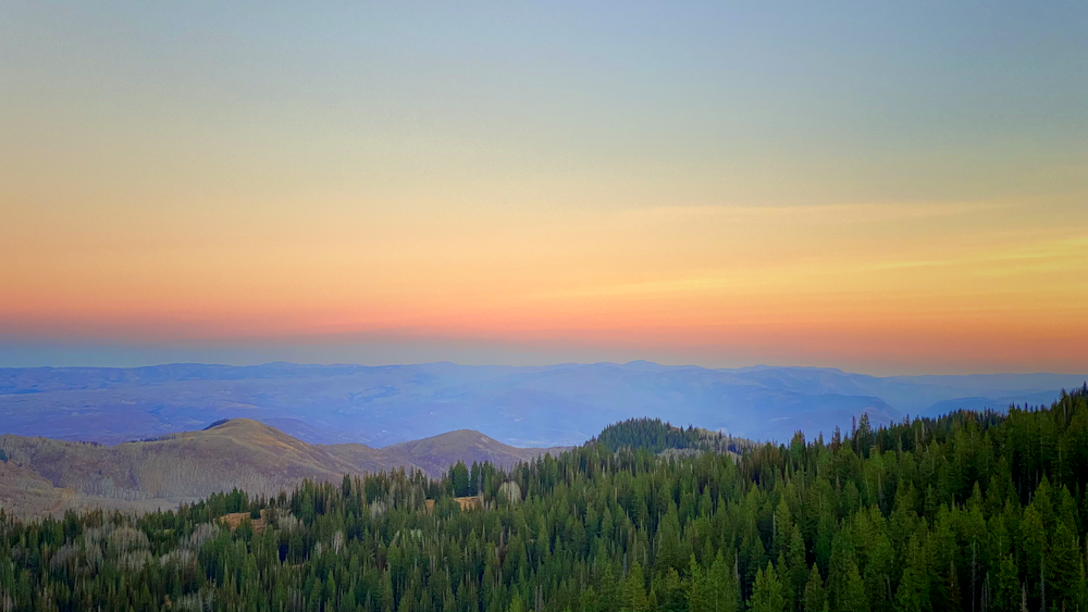 green trees on mountain during daytime