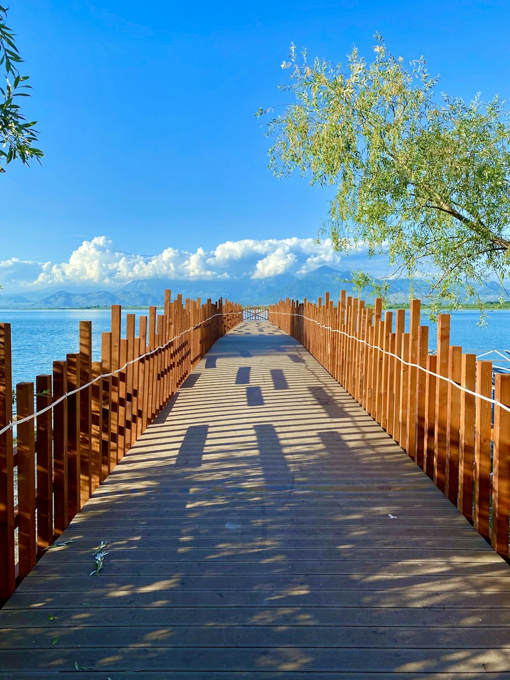 brown wooden bridge over blue sea under blue sky during daytime