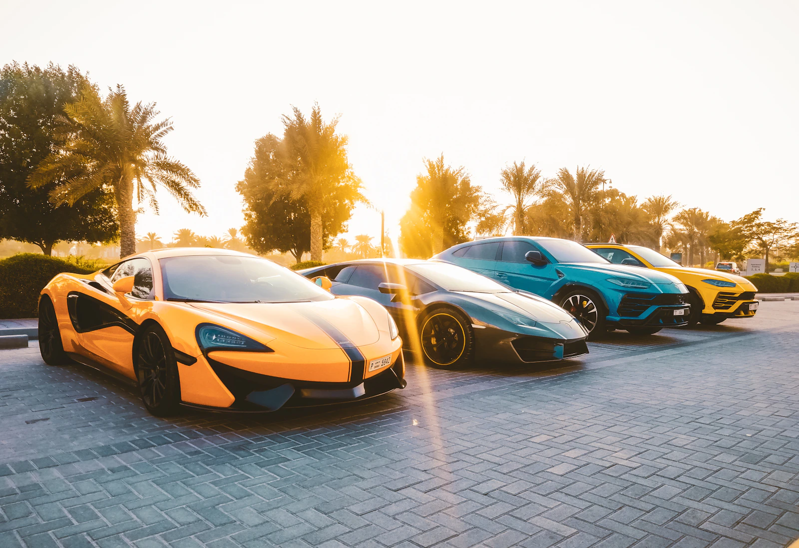 Row of supercars and SUVs parked under palm trees at sunset