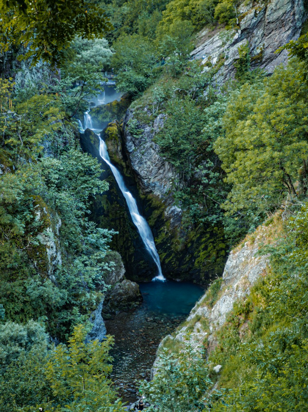 green trees and river during daytime