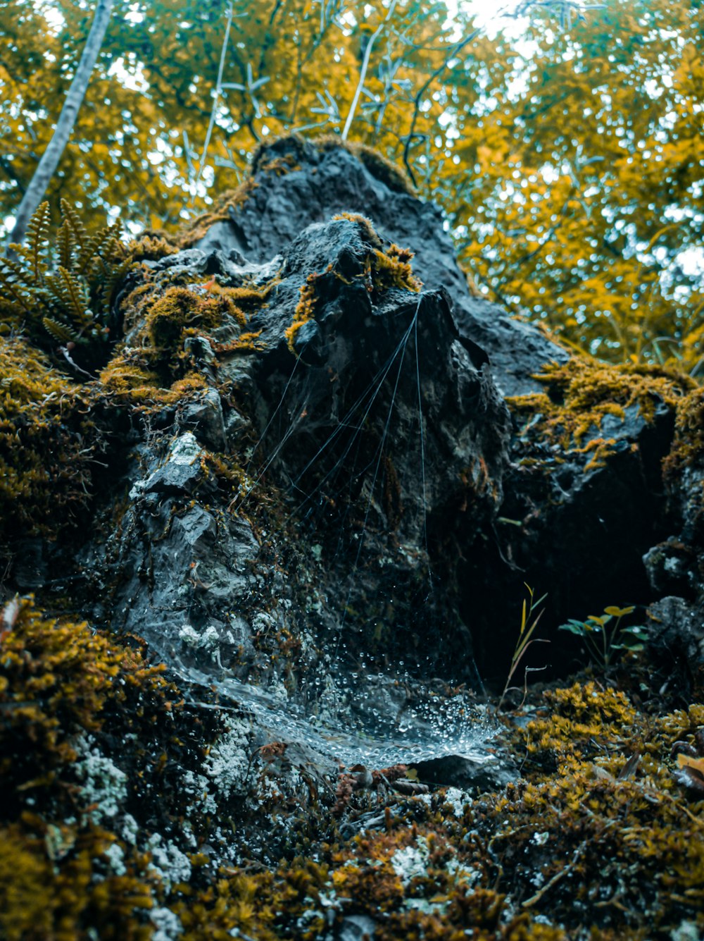 water falling from the ground