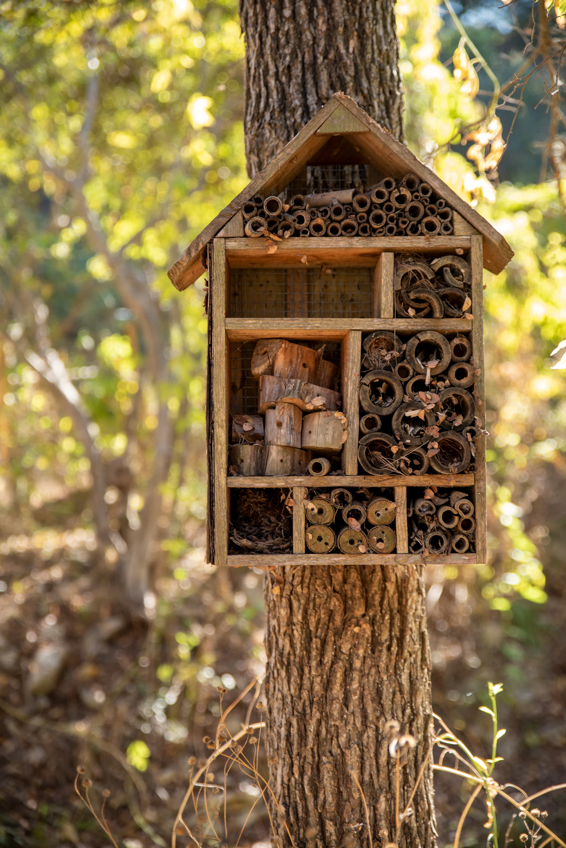 A roofed bug hotel fixed to a tree trunk in a sunny garden