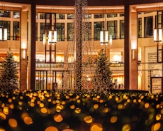 A festive outdoor space decorated for the holidays.