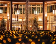 An outdoor space elegantly illuminated with decorative string lights.