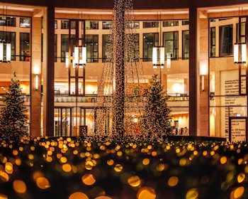 A decorated outdoor space with a large structure draped in festive lights, surrounded by glowing bokeh effects. Nearby, there are trees and a building with illuminated interiors and large windows. Hanging pendant lights add to the warm and inviting ambiance.