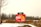A bright red sign is displayed in an open, snowy field with bare trees in the background. The sign warns about fines for failure to comply with COVID-19 regulations, with visible text including a URL for more information. The scene appears overcast, with muted natural colors.