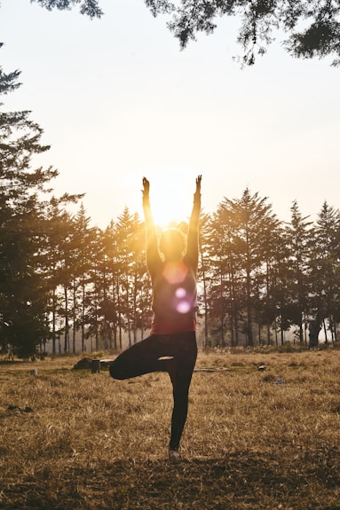 Frau auf einer Waldlichtung praktiziert die Yoga Asana "der Baum".