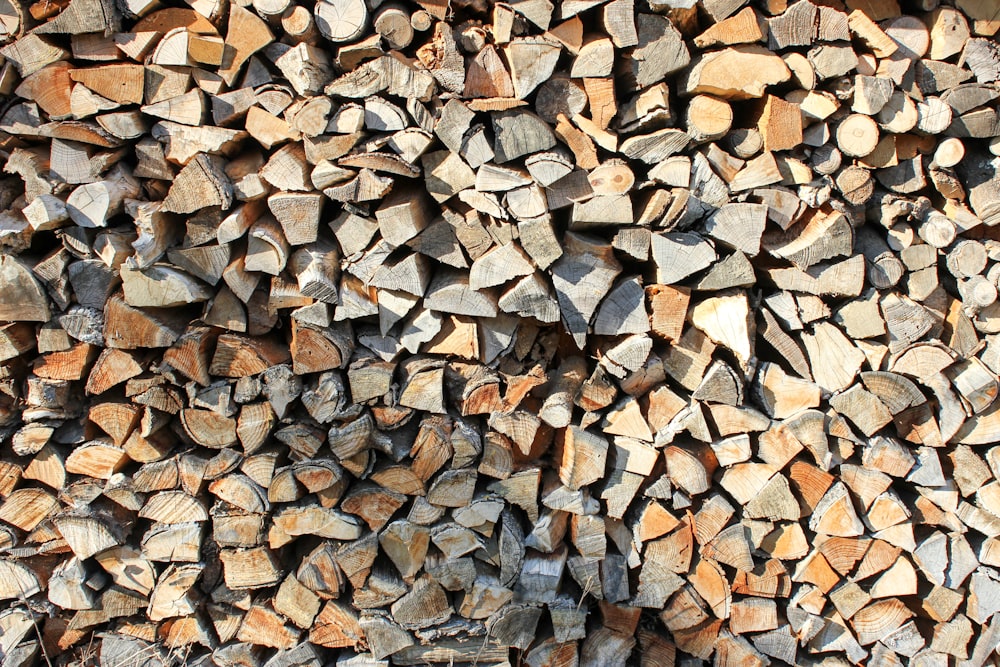 brown and black firewood lot