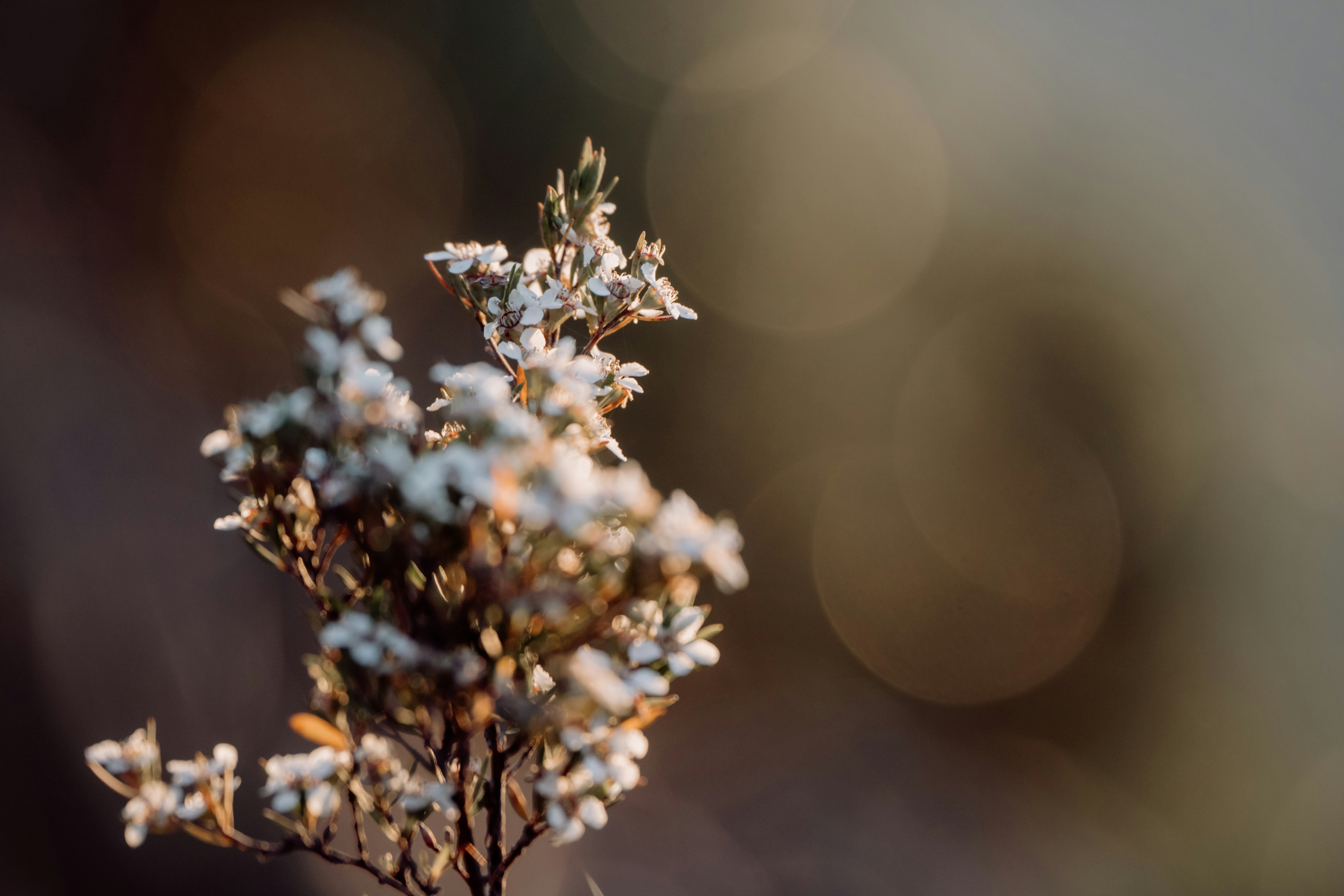 Photo by joshwithers