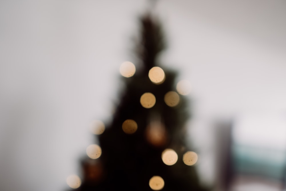 yellow string lights in close up photography