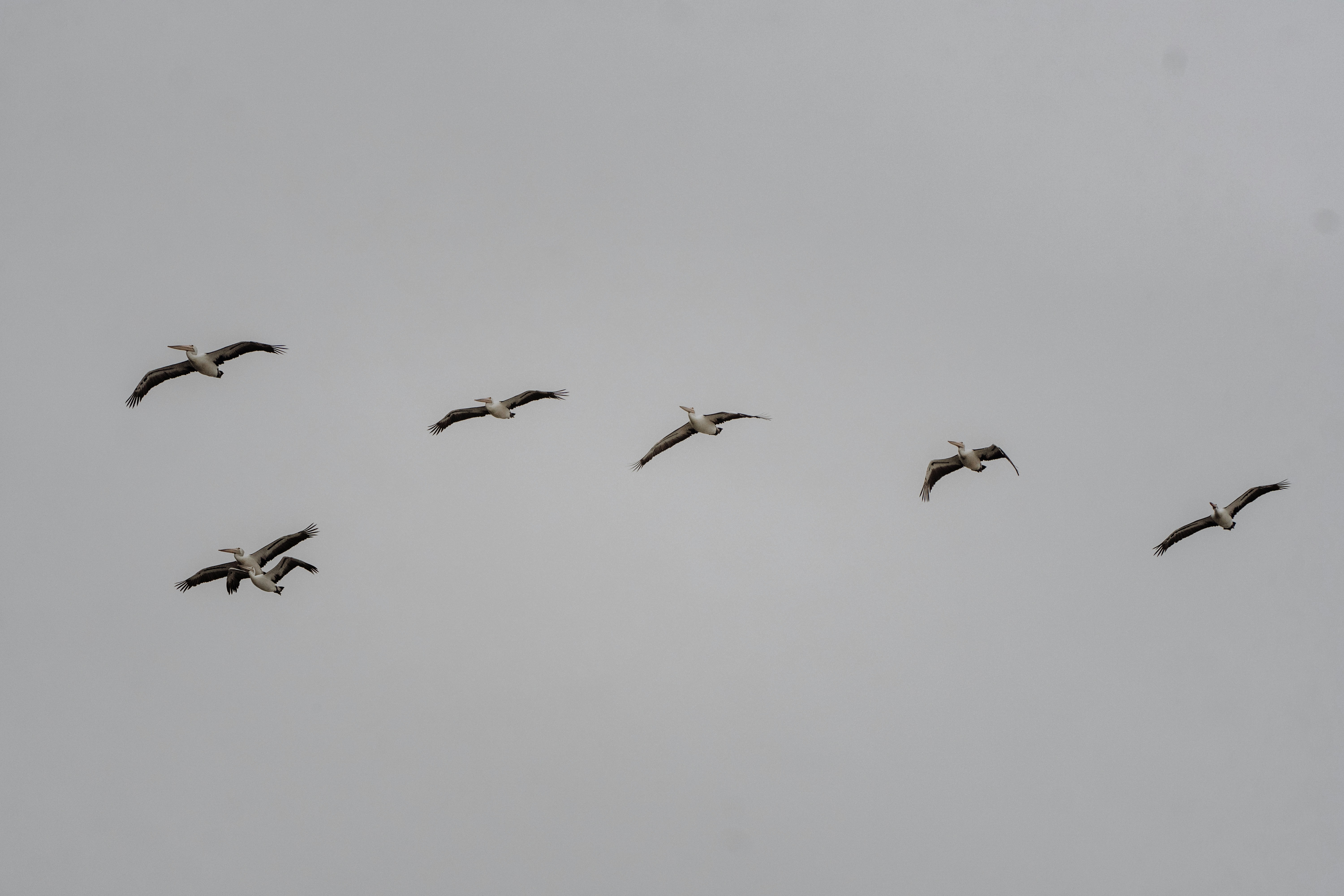 Photo by joshwithers