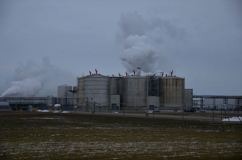 Ethanol process plant