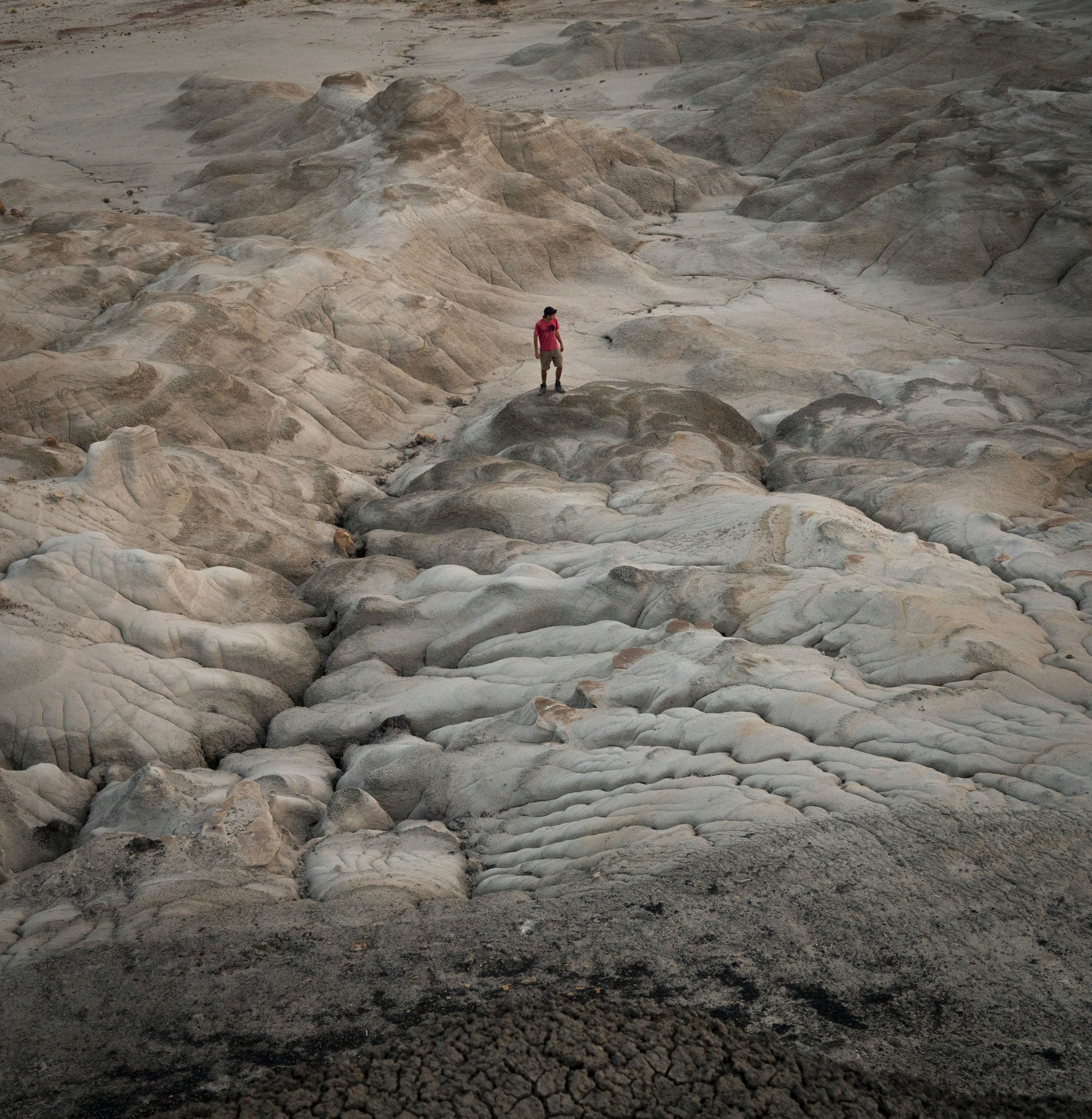 Photo by intricateexplorer