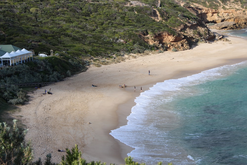 people on beach during daytime