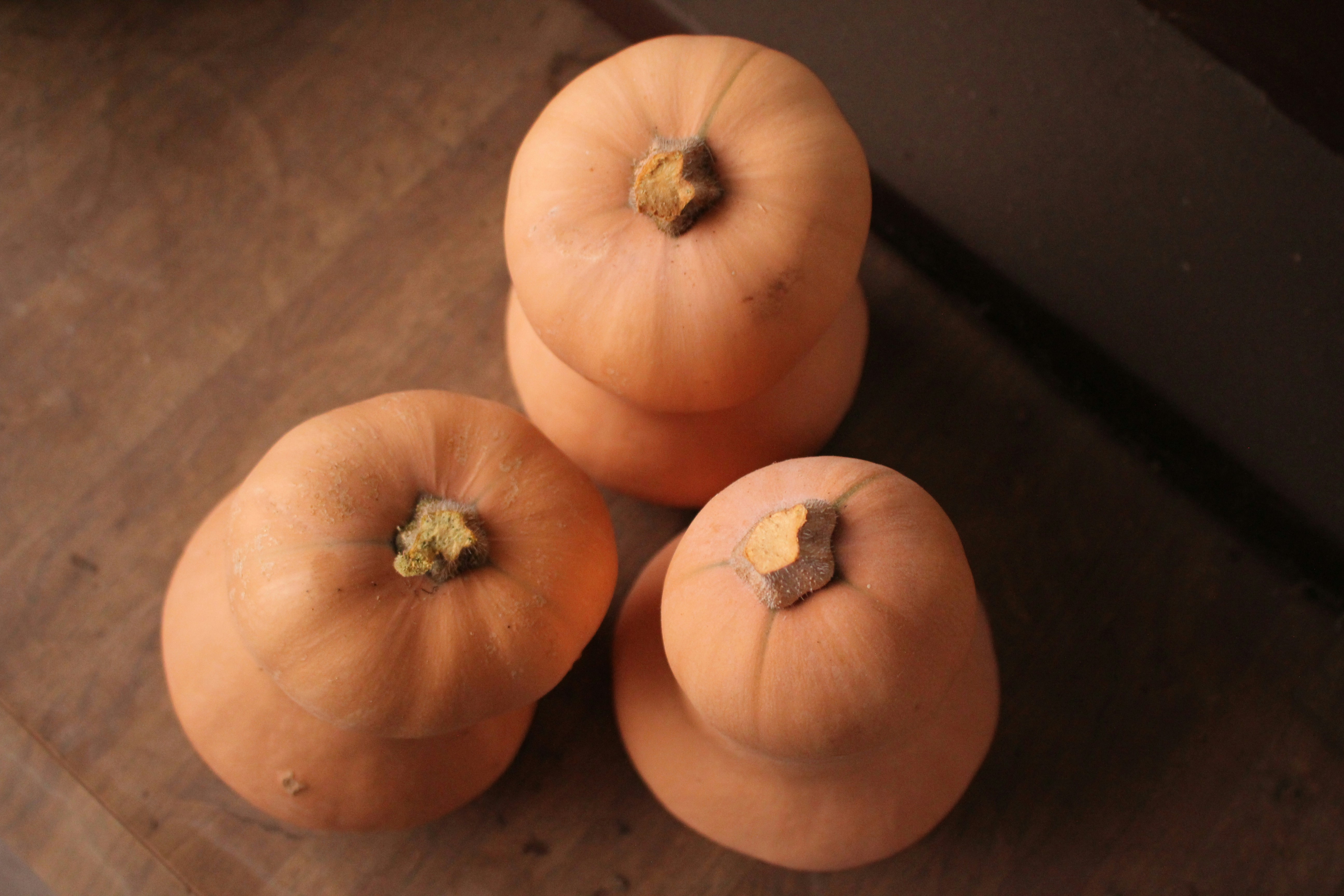 orange pumpkin on black table