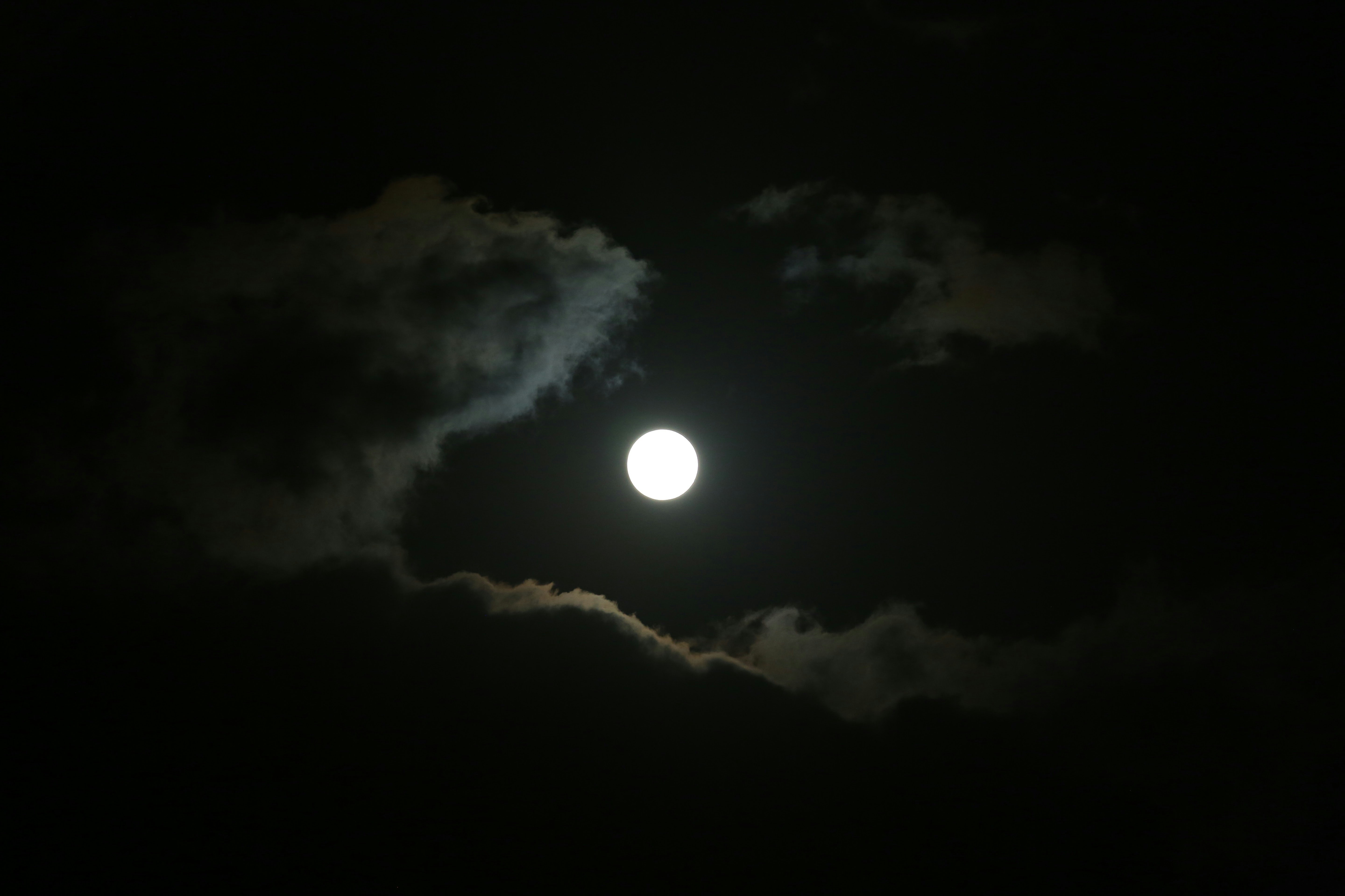 Photo by sudeepjames