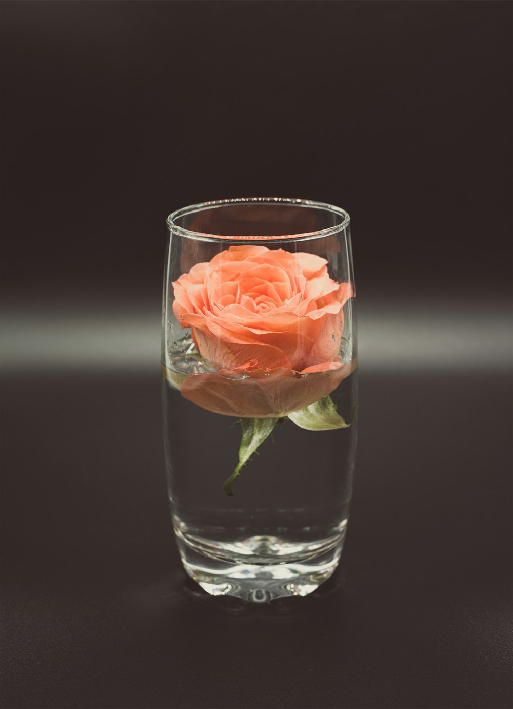 red rose in clear glass