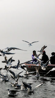 people riding on boat during daytime