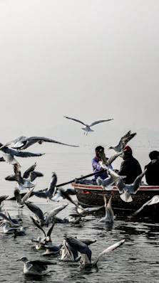 people riding on boat during daytime