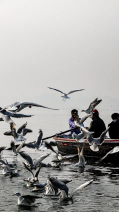 people riding on boat during daytime