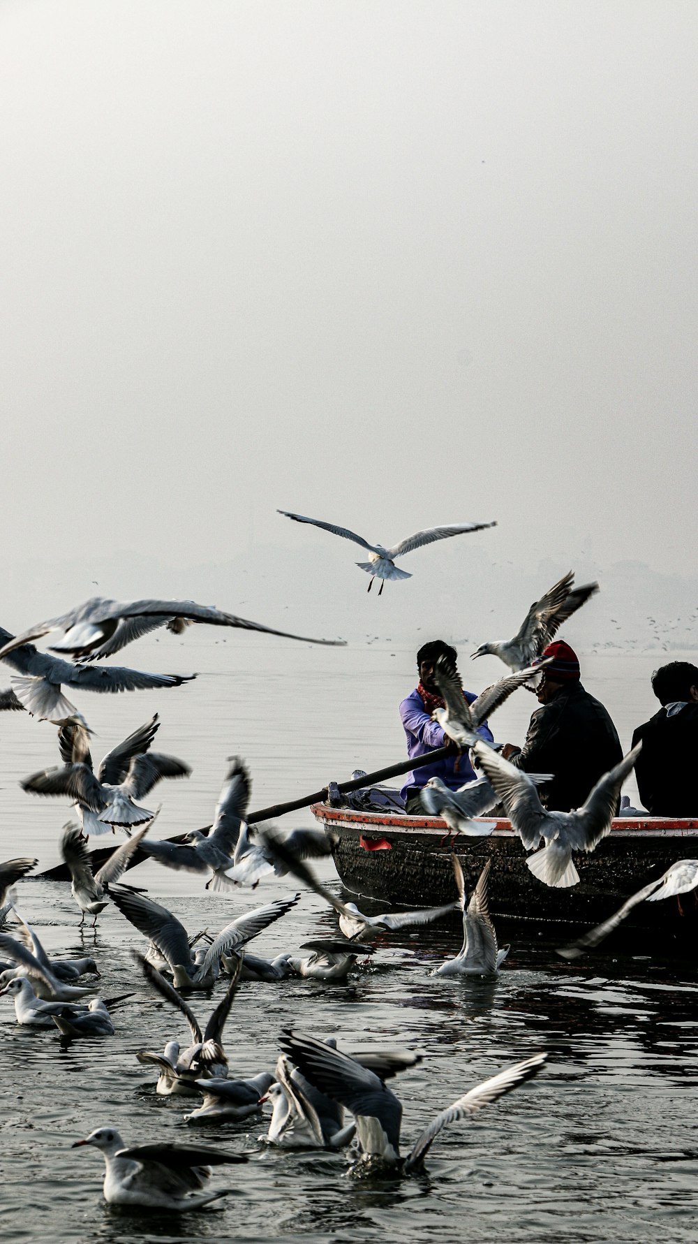 people riding on boat during daytime