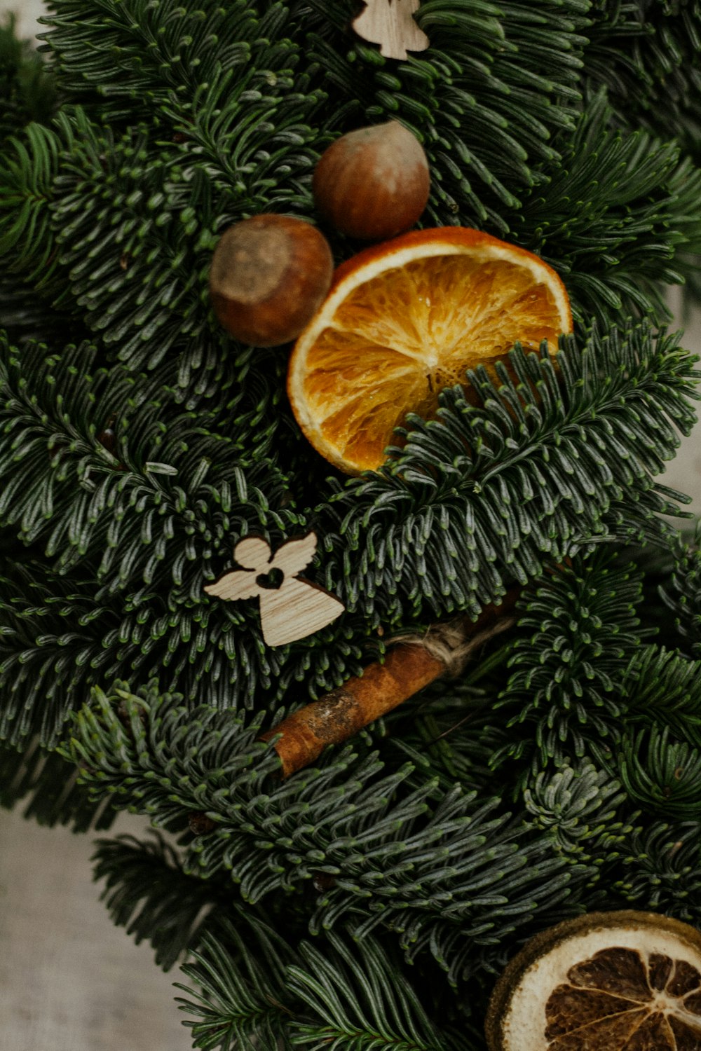 sliced orange fruit on green pine tree