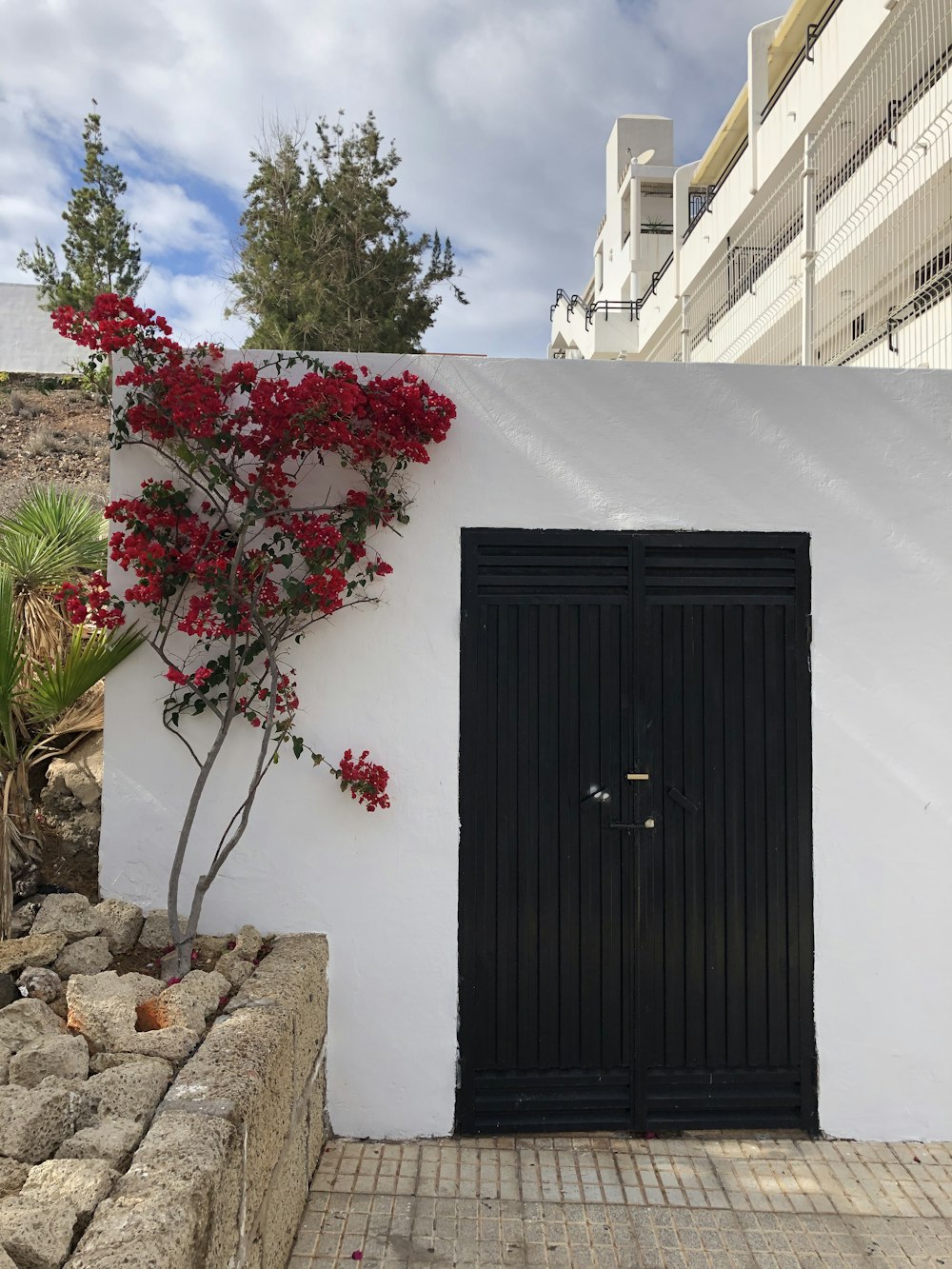 black wooden door near red flowers